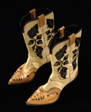 See a Picture of this Item