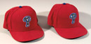 See a Picture of this Item