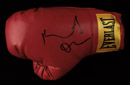 See a Picture of this Item