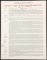 See a Picture of this Item