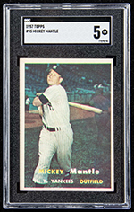 See a Picture of this Item