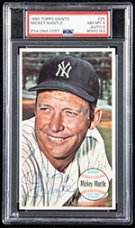 See a Picture of this Item