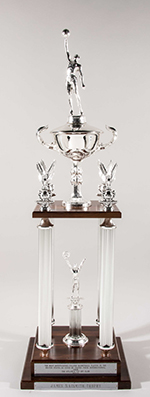See a Picture of this Item