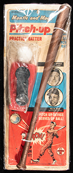 See a Picture of this Item