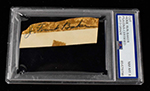 See a Picture of this Item