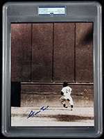 See a Picture of this Item