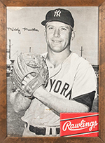 See a Picture of this Item