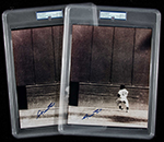 See a Picture of this Item