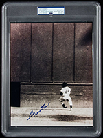 See a Picture of this Item