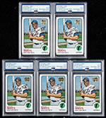 See a Picture of this Item