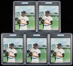 See a Picture of this Item