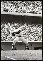 See a Picture of this Item