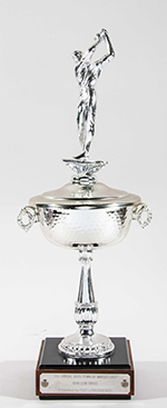 See a Picture of this Item