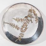 See a Picture of this Item