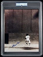 See a Picture of this Item