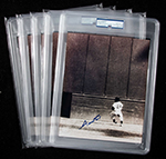 See a Picture of this Item