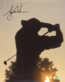 See a Picture of this Item