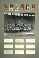 See a Picture of this Item