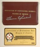 See a Picture of this Item