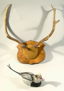 See a Picture of this Item