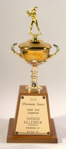 See a Picture of this Item