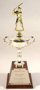 See a Picture of this Item