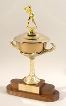 See a Picture of this Item