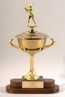 See a Picture of this Item