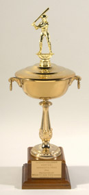 See a Picture of this Item