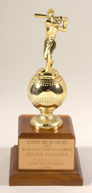 See a Picture of this Item