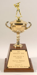 See a Picture of this Item