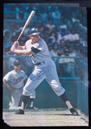 See a Picture of this Item