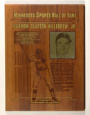 See a Picture of this Item