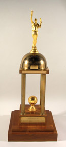 See a Picture of this Item