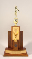 See a Picture of this Item