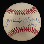 See a Picture of this Item