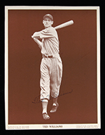 See a Picture of this Item