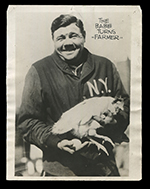 See a Picture of this Item