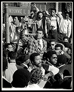 See a Picture of this Item