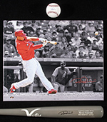 See a Picture of this Item