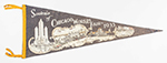 See a Picture of this Item