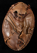 See a Picture of this Item