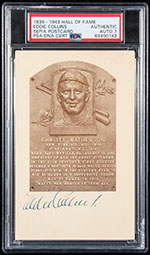 See a Picture of this Item