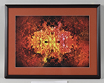 See a Picture of this Item