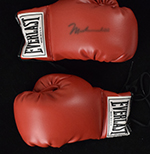 See a Picture of this Item