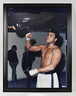 See a Picture of this Item