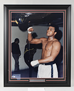 See a Picture of this Item