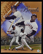 See a Picture of this Item