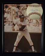 See a Picture of this Item